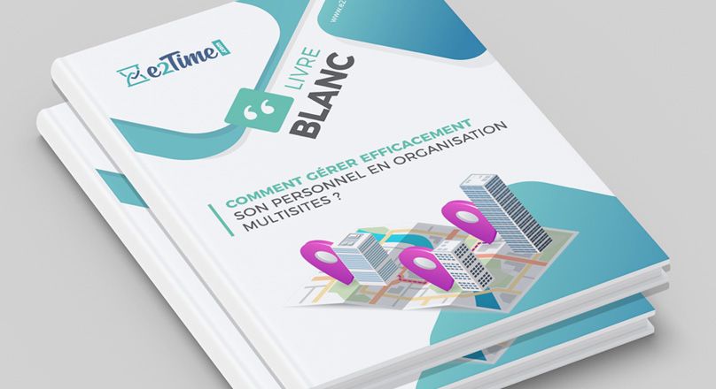 livre blanc organisation multisite